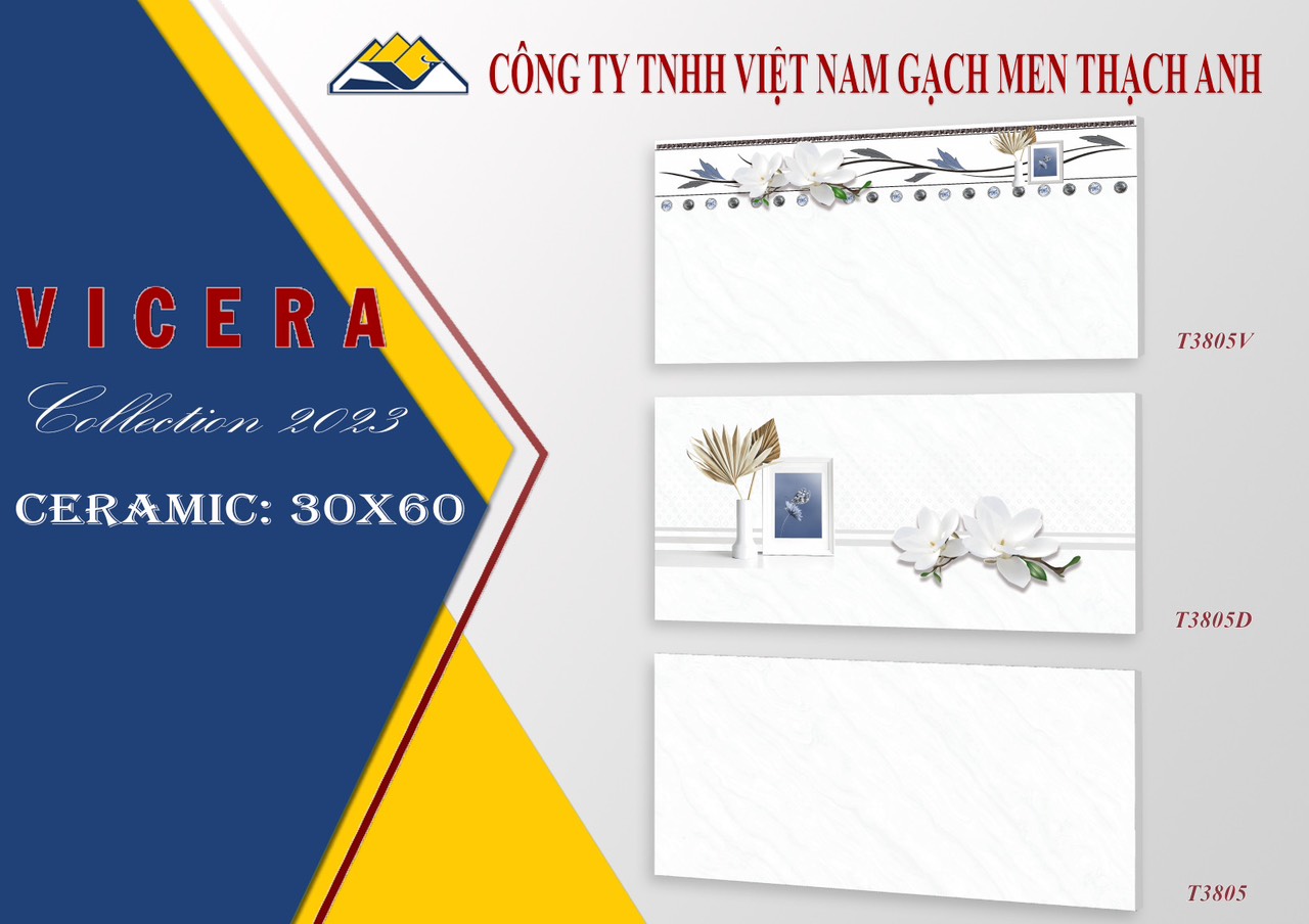 Gạch ốp tường 30x60 VICERA-848