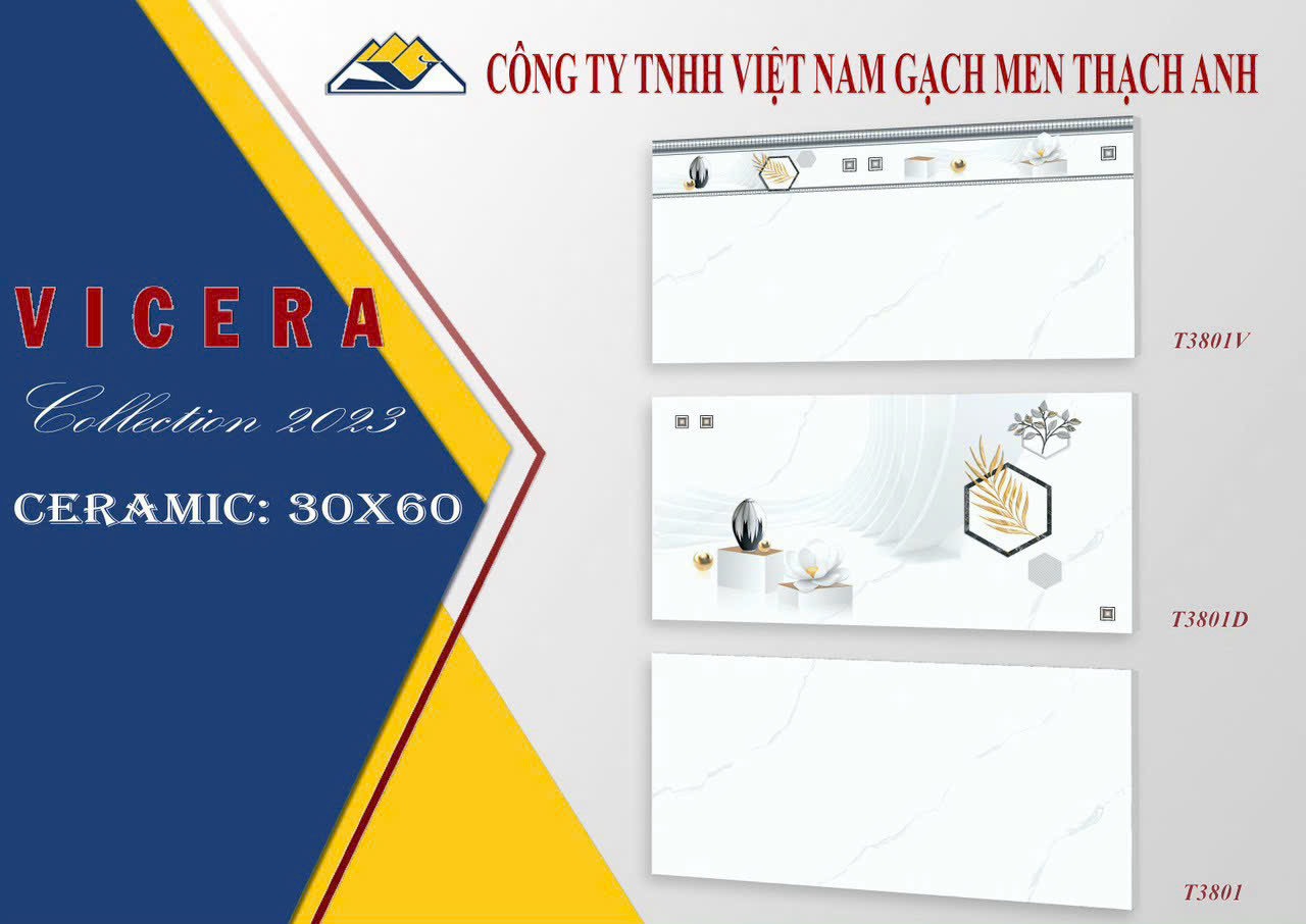 Gạch ốp tường 30x60 VICERA( thân )-849