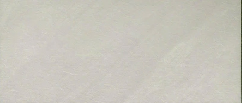 Gạch ốp tường 30x60cm Á mỹ-3161