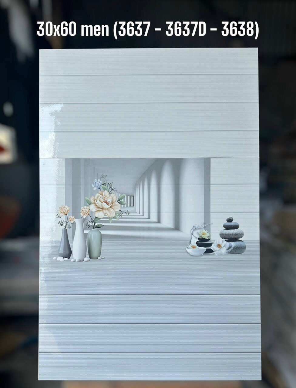 gạch ốp tường 30x60cm NPG-1651