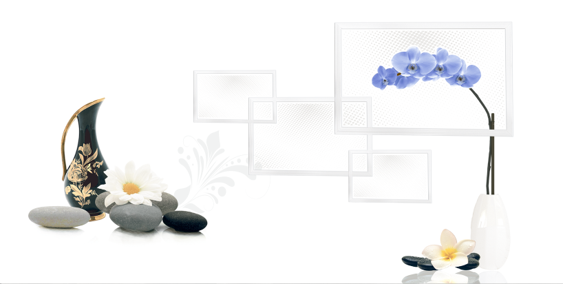 Gạch ốp tường Vicera 30x60cm (Điểm)-2795