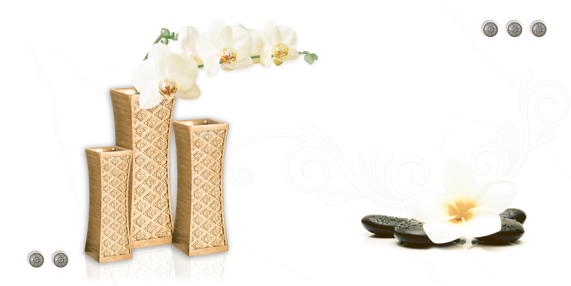 Gạch ốp tường Vicera 30x60cm (Điểm)-2781