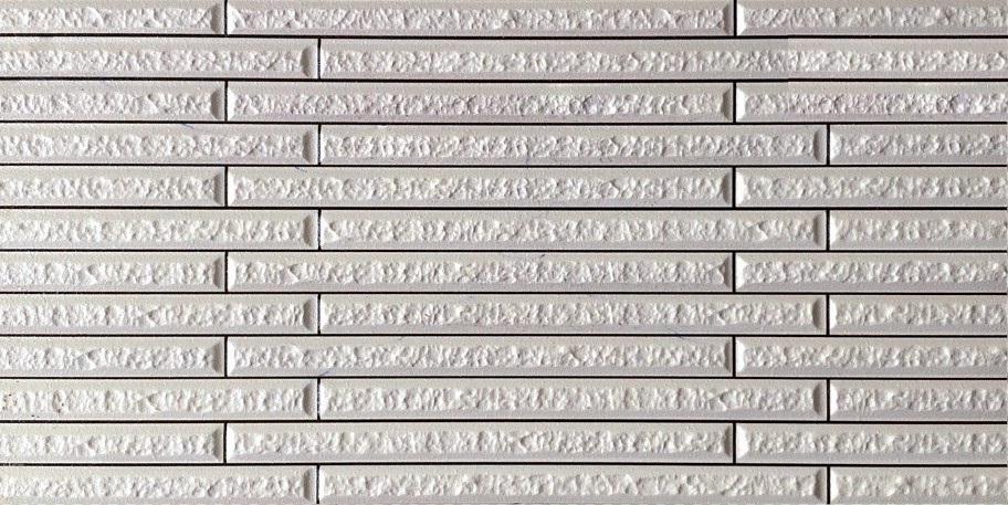 Gạch trang trí 25x50 -2169