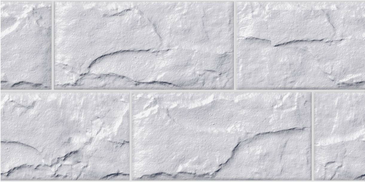 Gạch trang trí 25x50 -2156