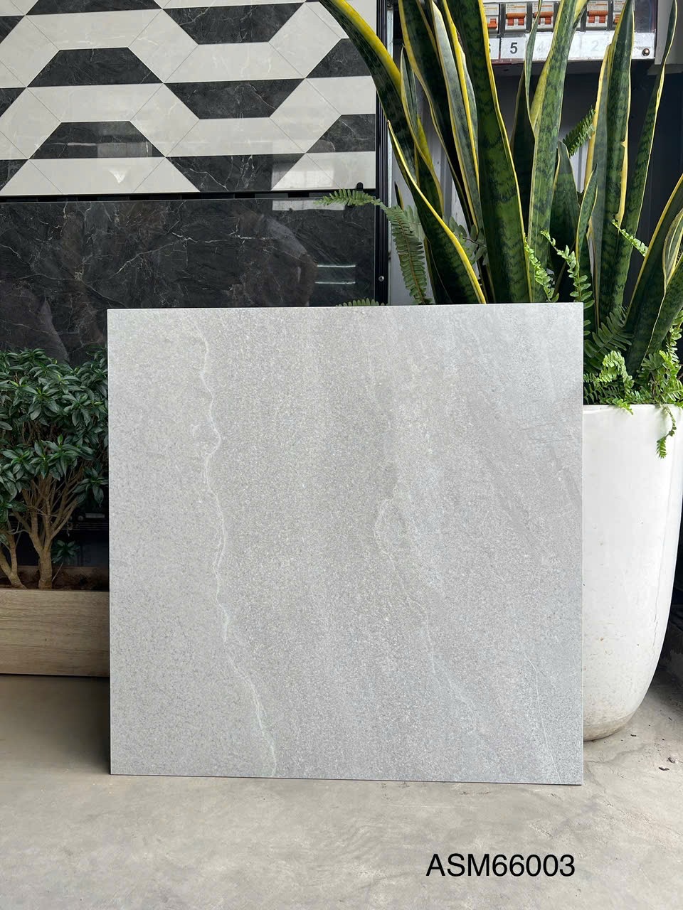 Gạch Lát Nền 60x60cm ASM66003-4758