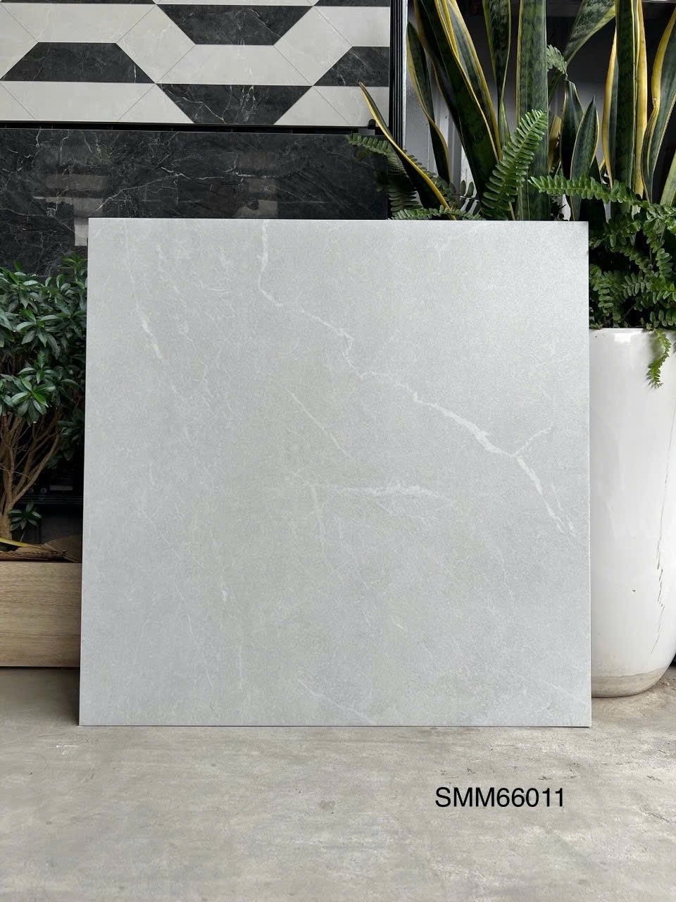 Gạch Lát Nền 60x60cm SMM66011-4749