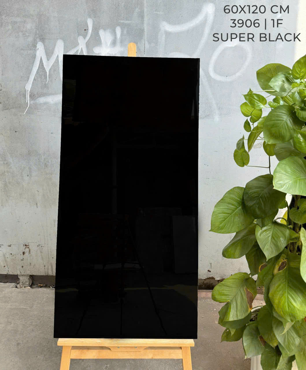 Gạch Lát Nền 60x120cm trung quốc 168-4434