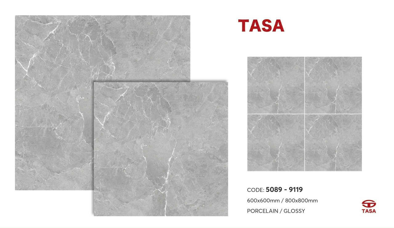 Gạch ốp lát 60x60cm TASA -4396