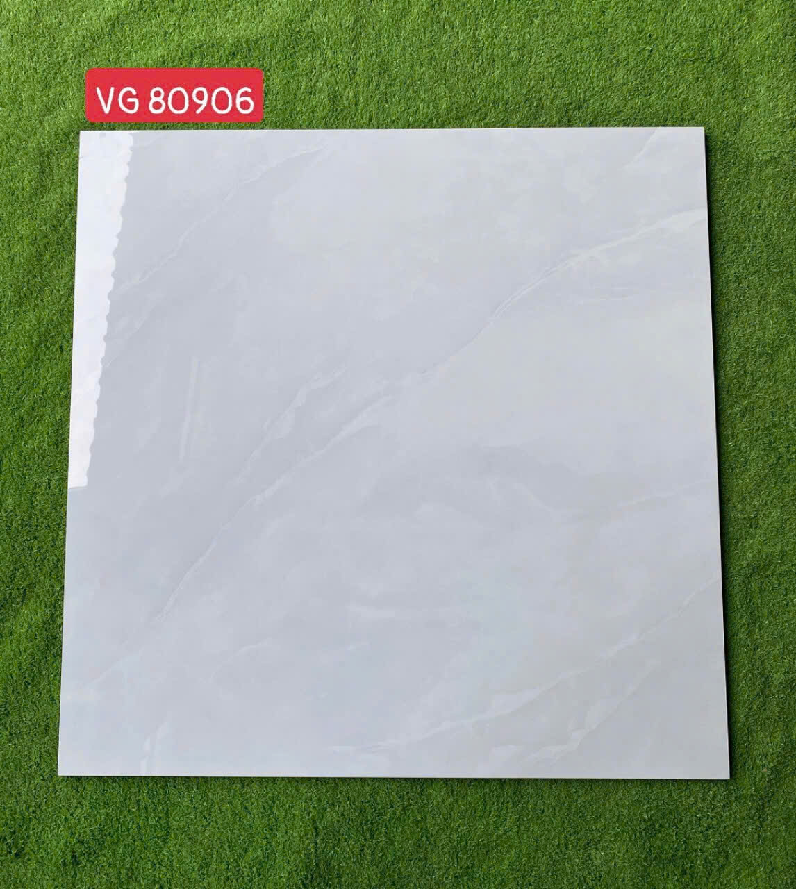 Gạch ốp lát 80x80cm -4679
