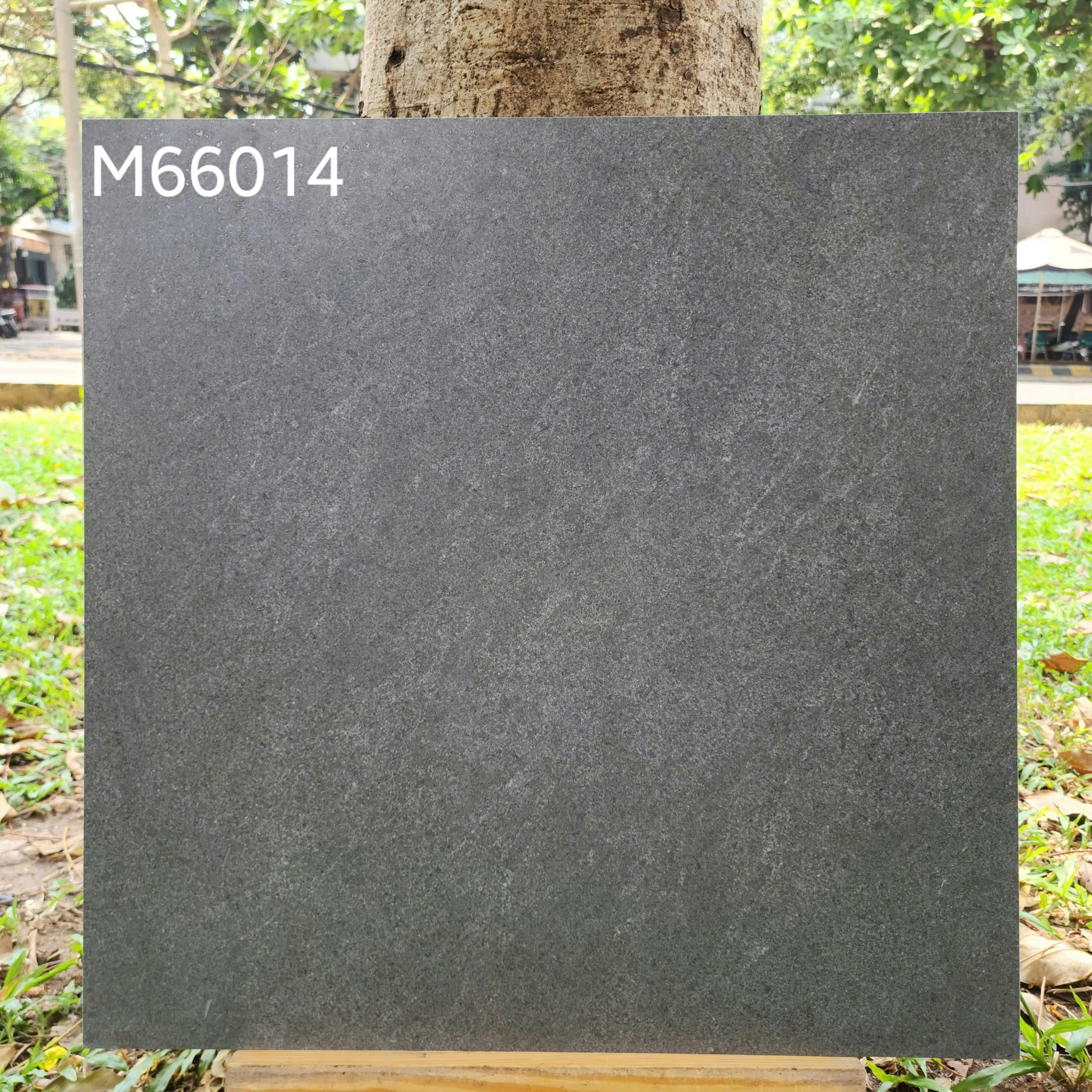 Gạch ốp lát 60x60cm -4786