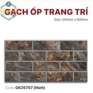 Gạch Trang Trí 25x50cm -5553