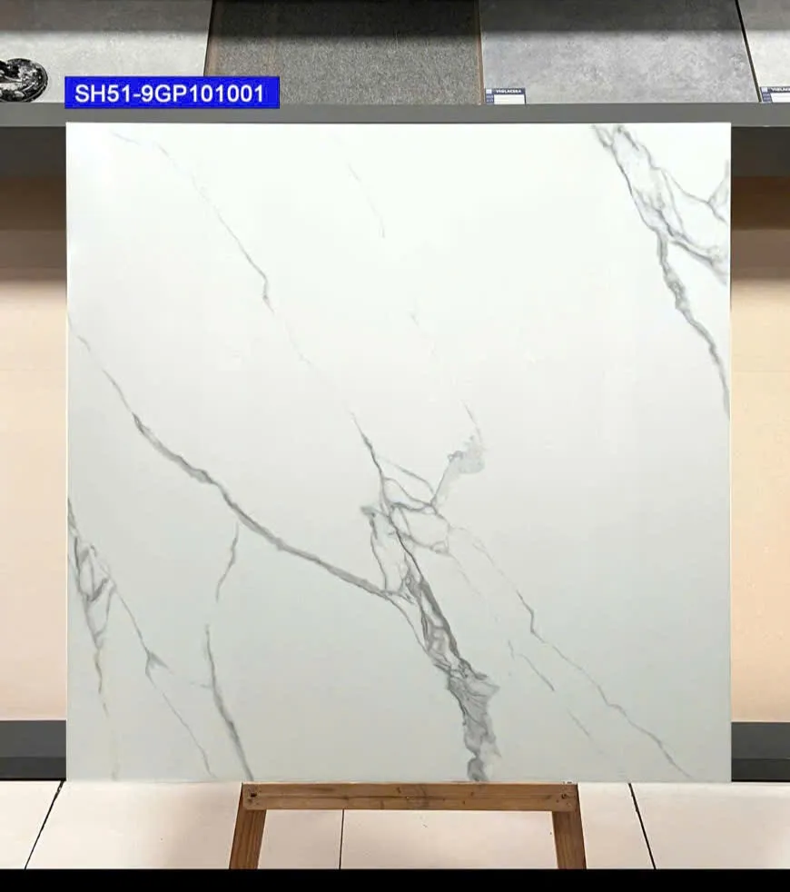 Gạch Lát Nền 100x100cm -5670
