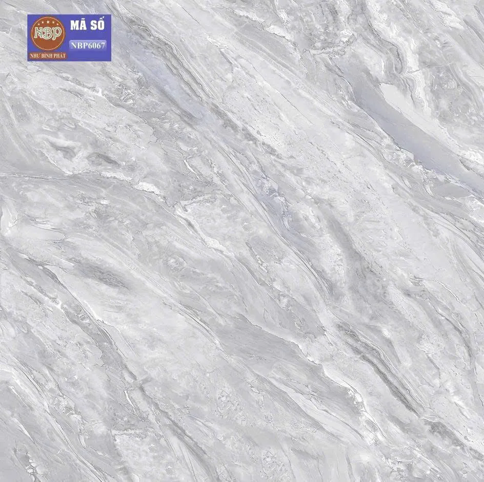 Gạch ốp lát 60x60cm-5682